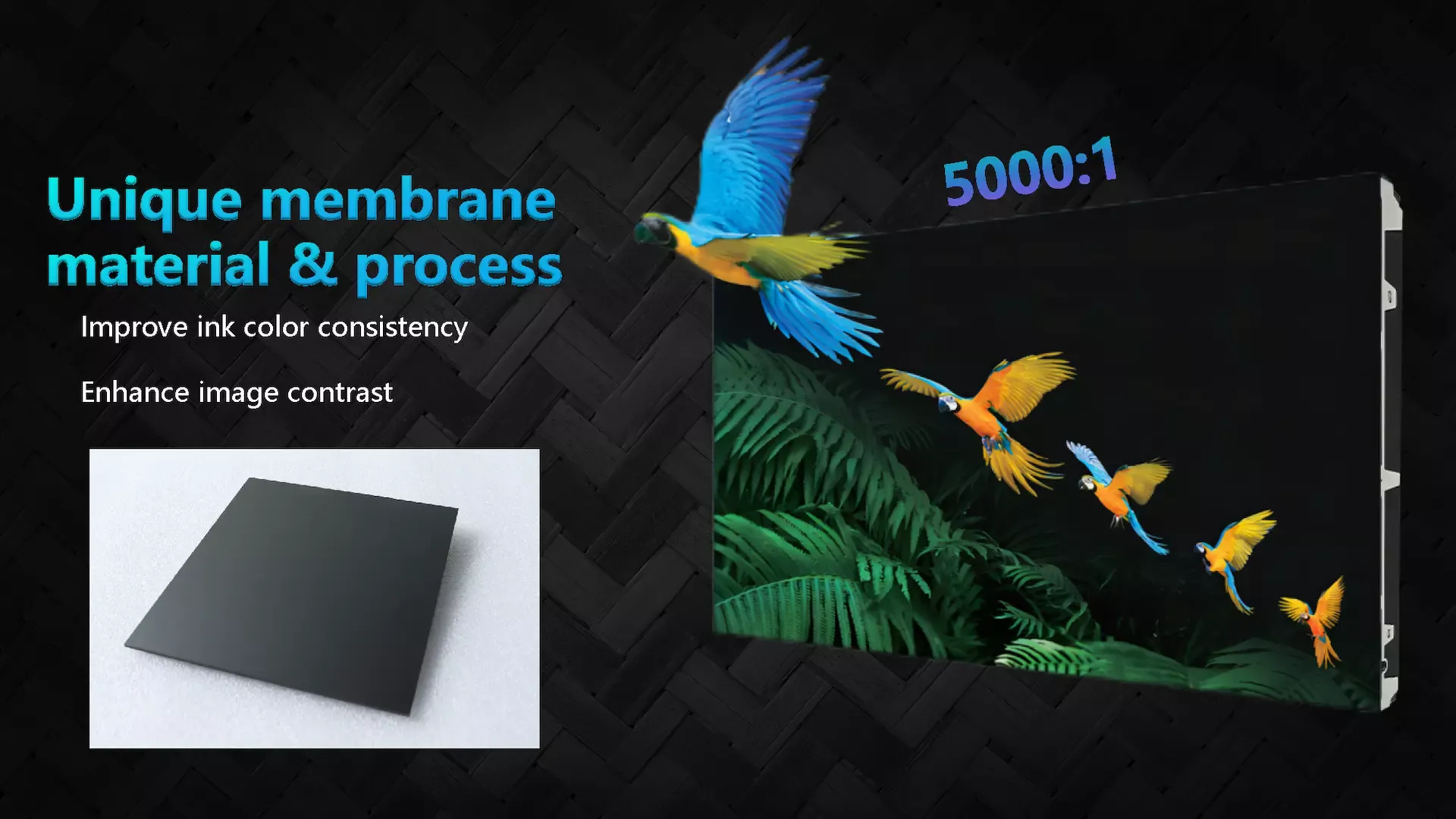 COB VX600 series_01 (6)